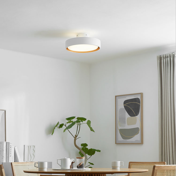 LOWYA（ロウヤ） シーリングライト LED 8畳 アッパーライト 間接照明