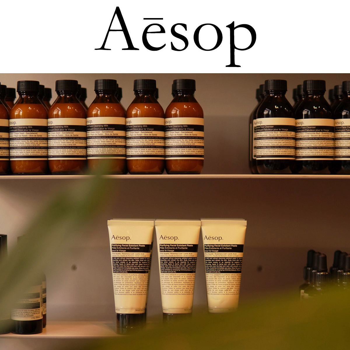 Aesop（イソップ） 巾着＆ BOX付き ハンドクリーム アンドラム ハンド