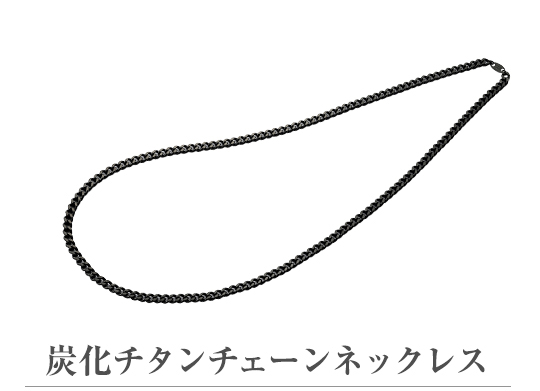 Phiten（ファイテン） チタンチェーンネックレス 60cm【公式