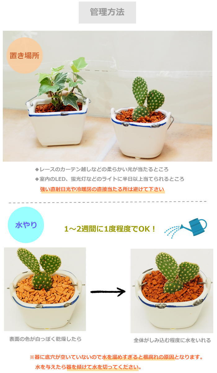 SPICE of Life（スパイス オブ ライフ） ハイドロカルチャー 水耕栽培