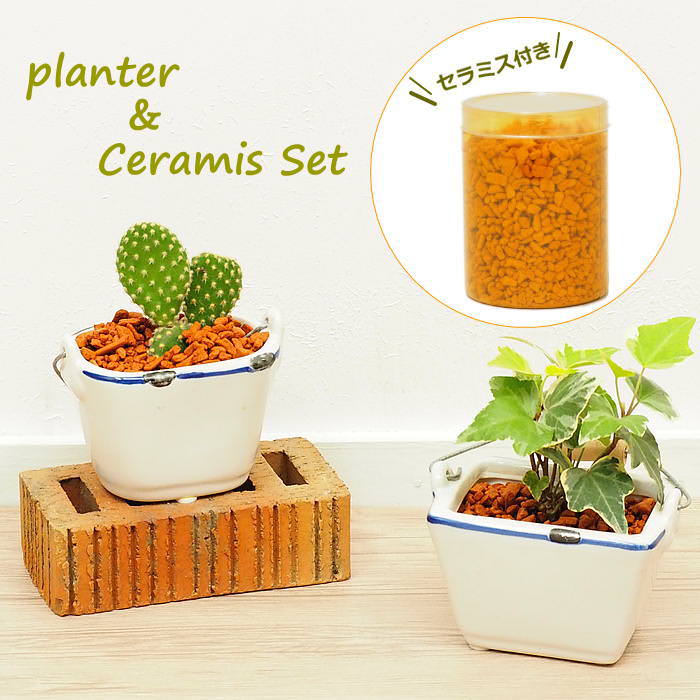 SPICE of Life（スパイス オブ ライフ） ハイドロカルチャー 水耕栽培