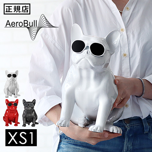 特典付】正規品 エアロブル Aerobull XS 1 ポータブル 充電式