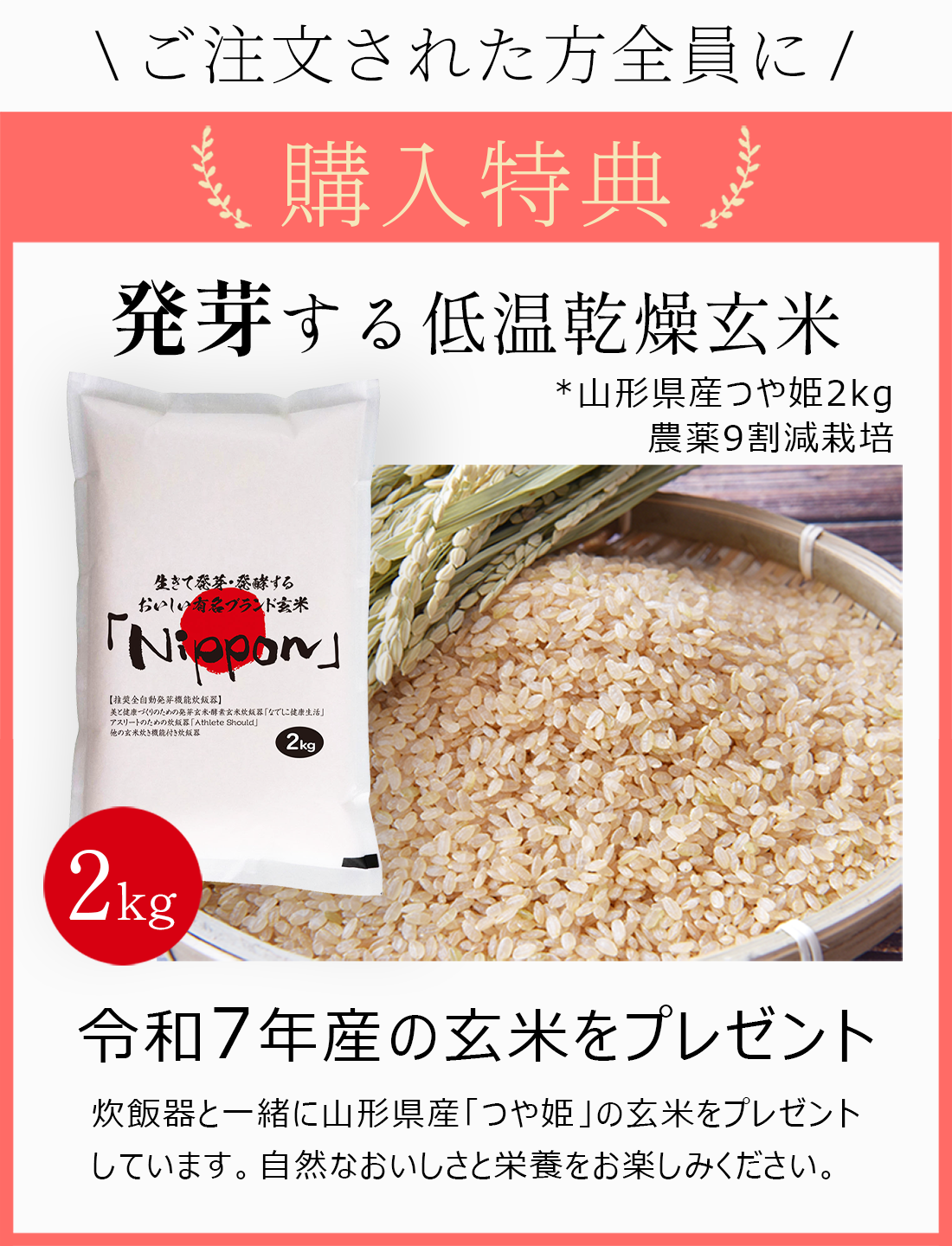 酵素玄米 炊飯器 なでしこ健康生活 NHL-3 発芽玄米 発酵玄米 【5年保証