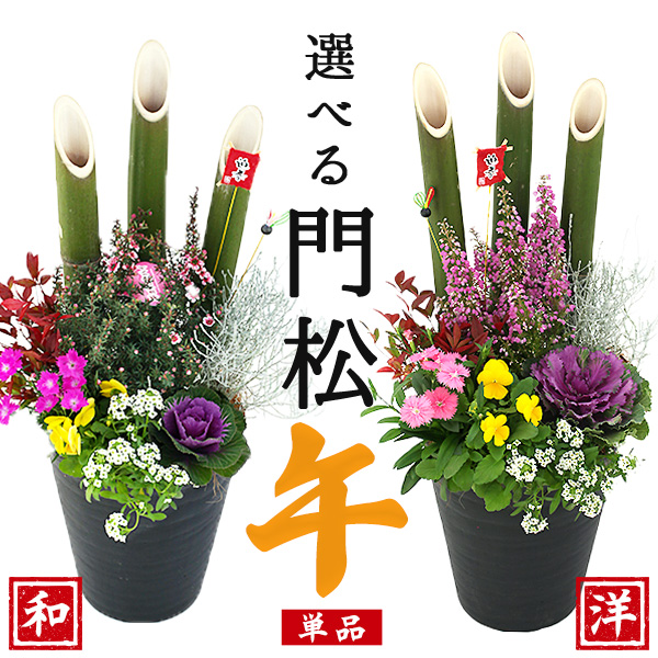 正月飾り 門松 送料無料『 お正月寄せ植え 』 単品1個 門松アレンジ