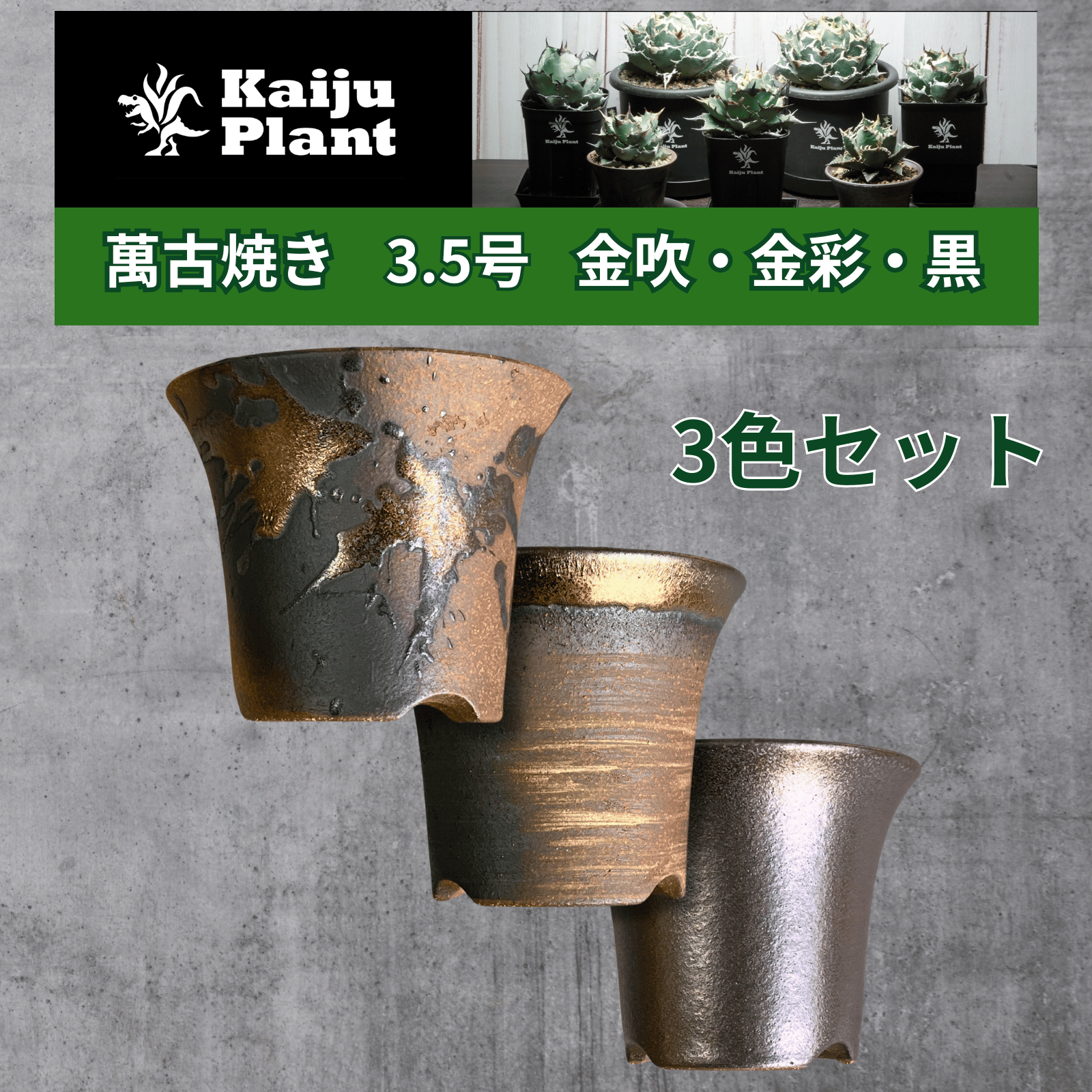 Kaiju Plant 萬古焼 3.5号 陶器鉢 ラッパ アガベ 多肉 塊根 用 金吹