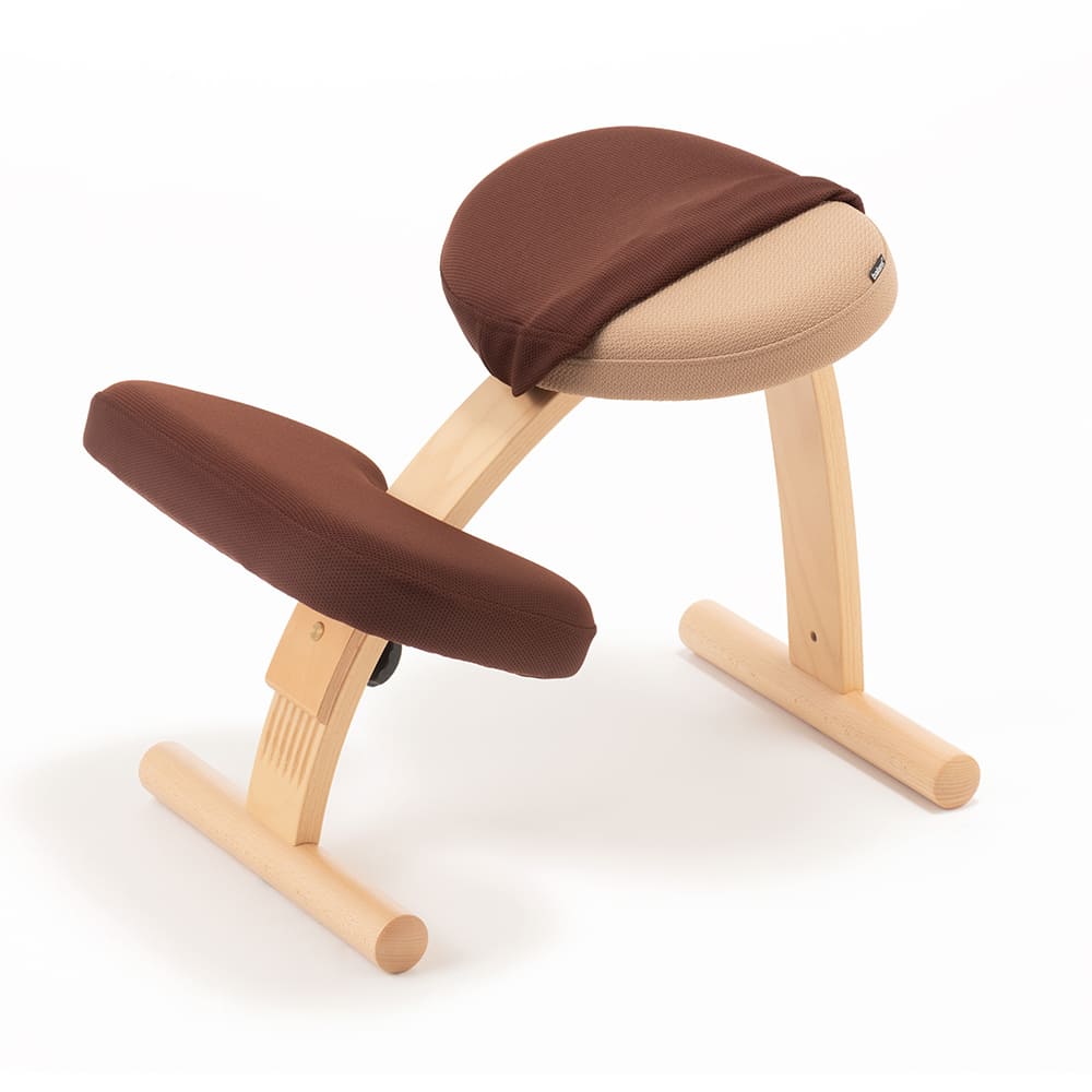 バランスラボ バランスチェア バランスチェアー バランスイージー