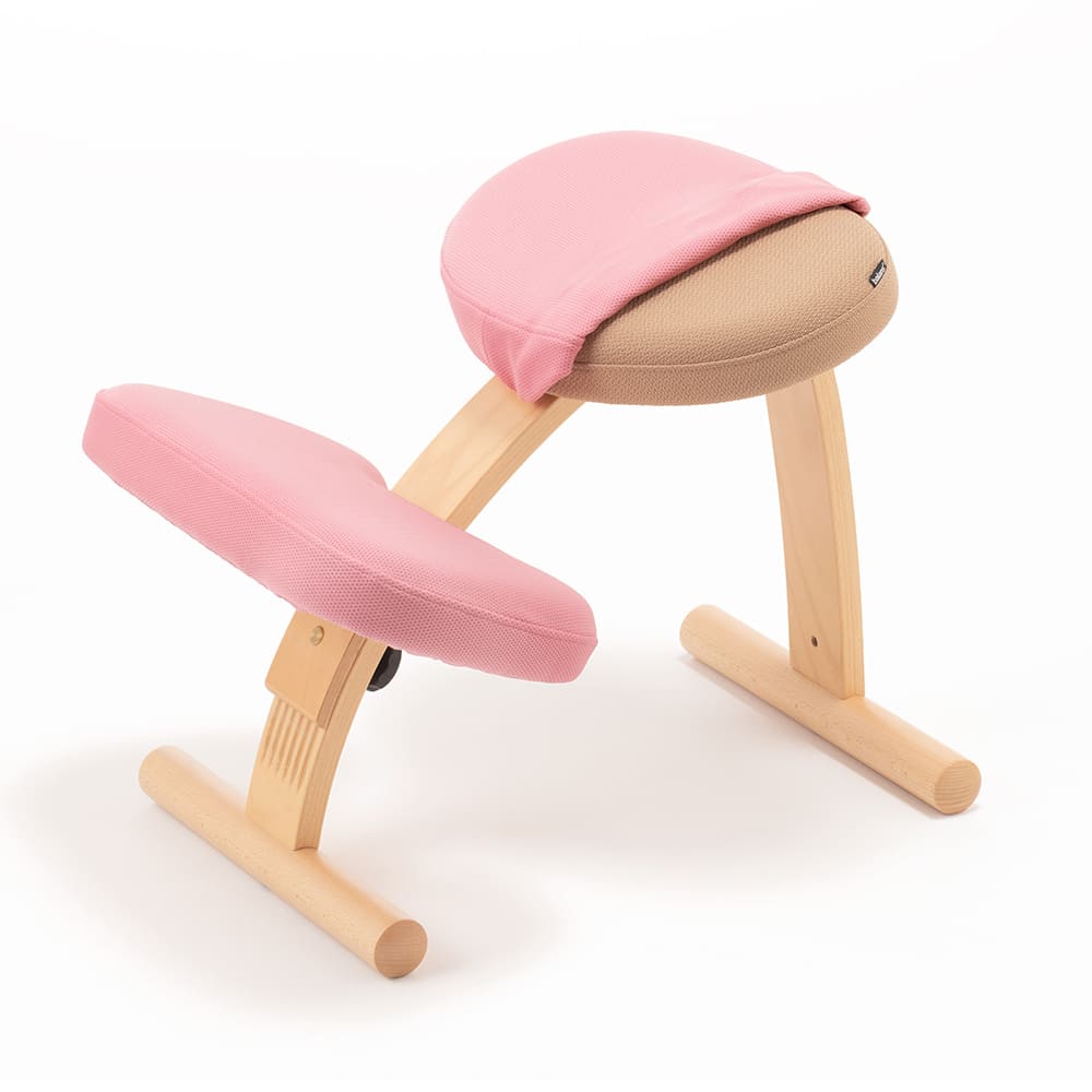 バランスラボ バランスチェア バランスチェアー バランスイージー