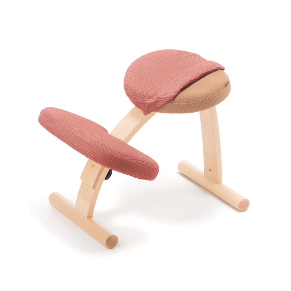 バランスラボ バランスチェア バランスチェアー バランスイージー