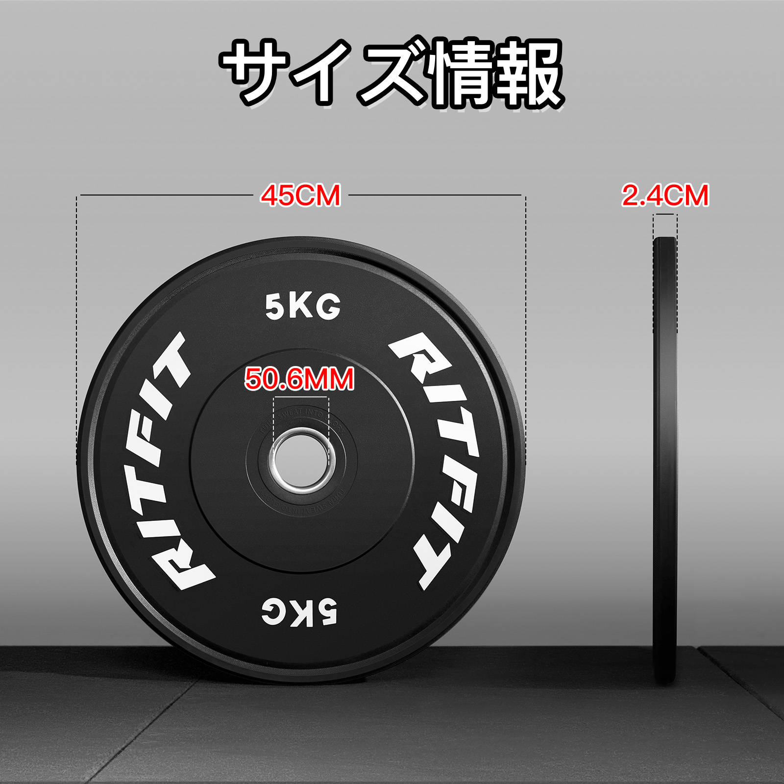 RITFIT バーベルプレート ダンベルプレート ラバープレート