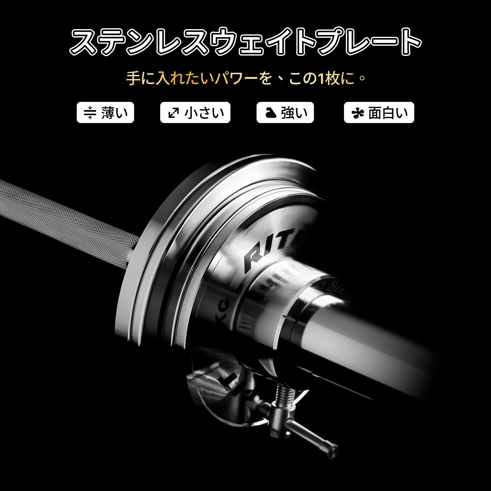 RITFIT ステンレスチェンジプレートセット 0.25kg~2.5kgセット