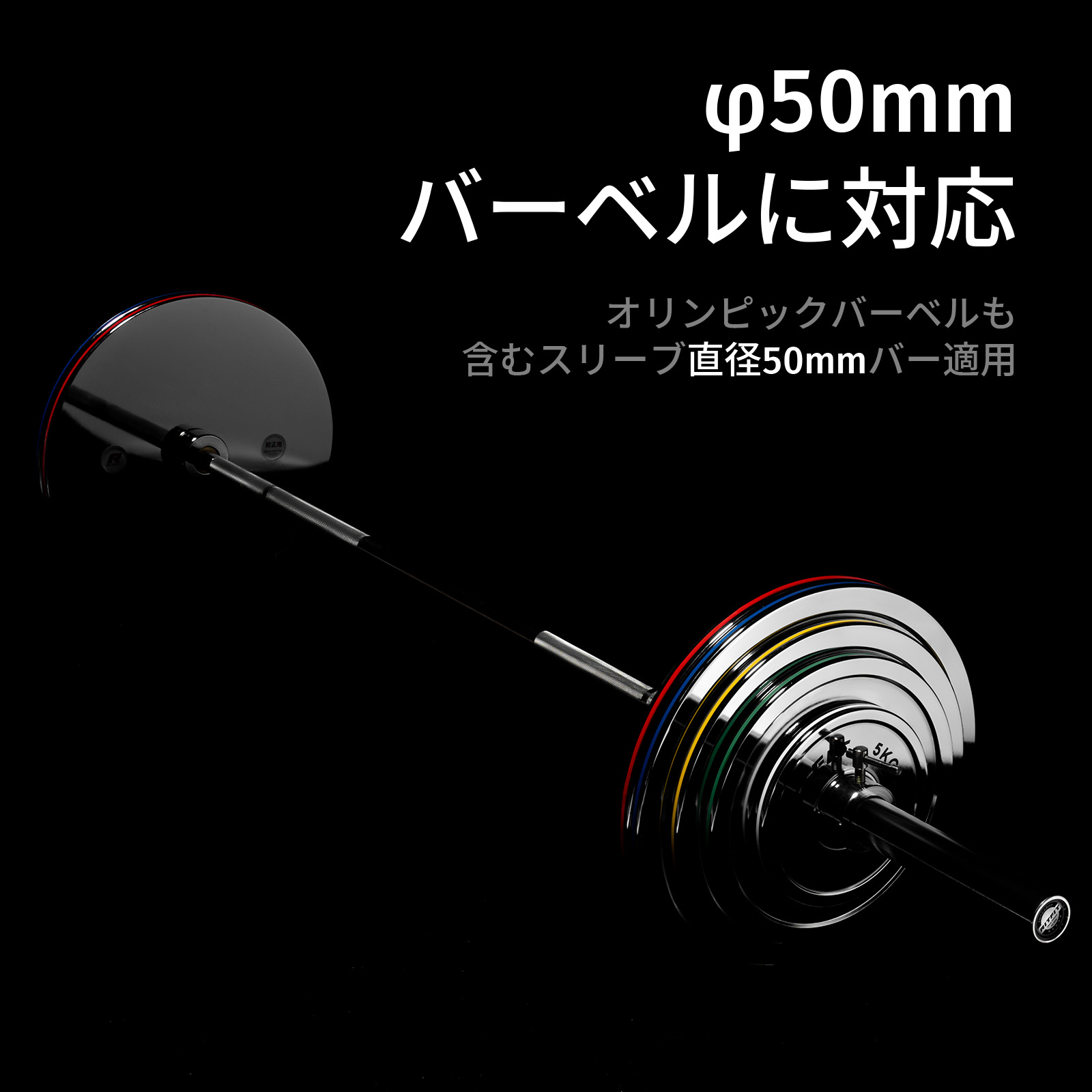 RITFIT ステンレスウェイトプレート 純鋼製オリンピックプレート