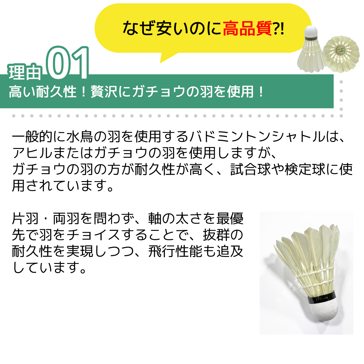 バドミントン シャトル20ダース 練習用 ラケットフィールドオリジナル