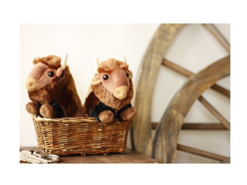 IL BISONTE（イルビゾンテ） ドール バッファロードール 水牛