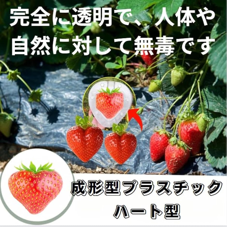 2bjv9v9qrs_3.jpg?size=n