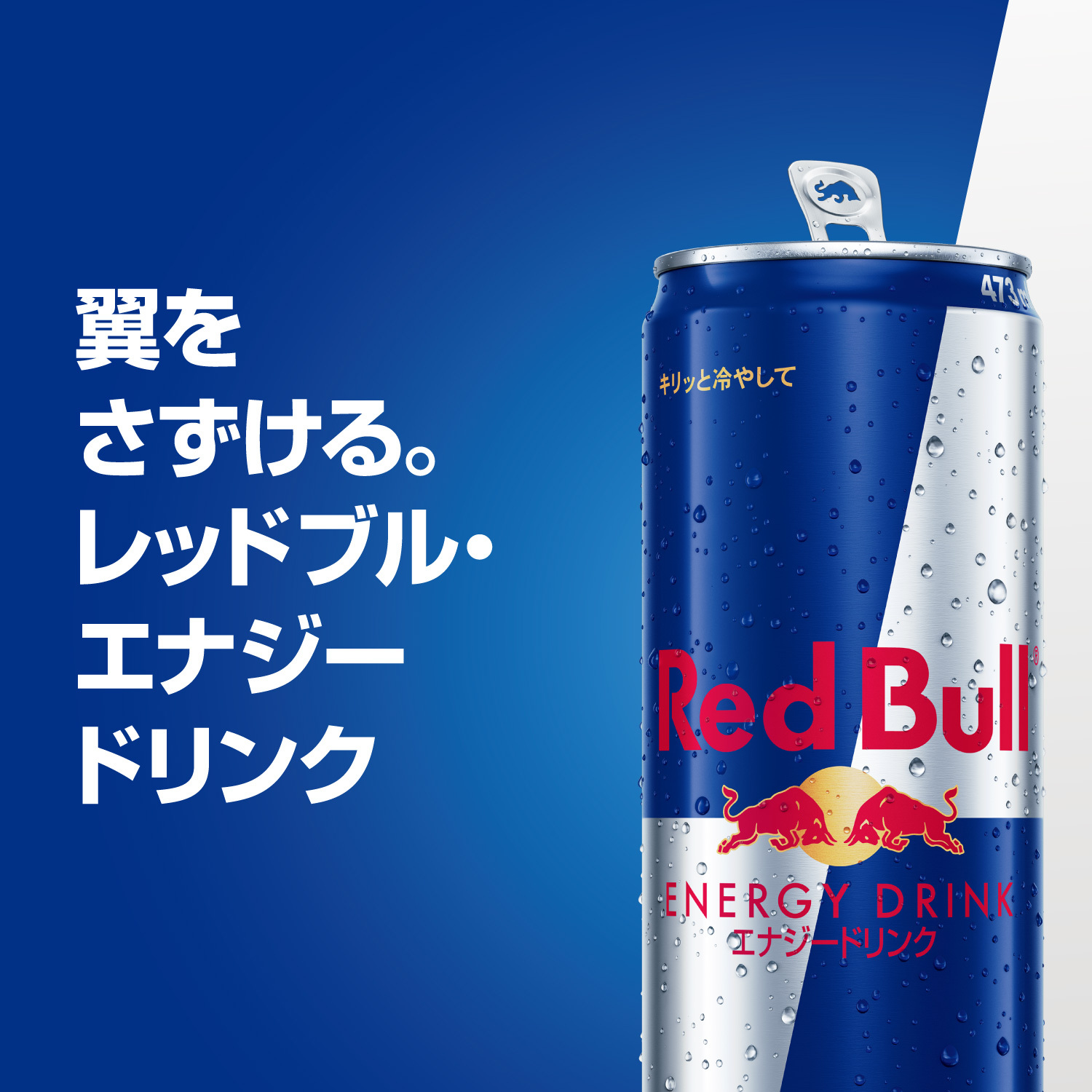 レッドブル（RedBull） ＼10%OFFクーポン対象 3/8まで／公式 エナジー