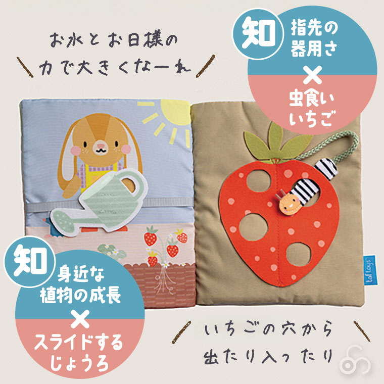 レビュー特典あり) エド・インター ジェニ タフトイ うさぎの