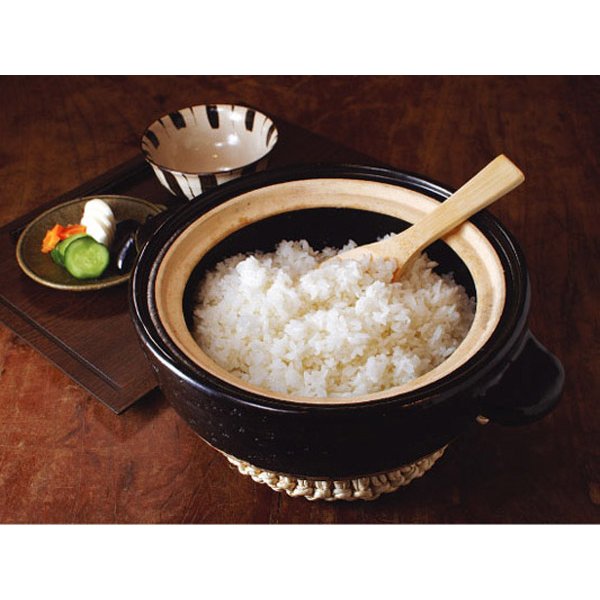 長谷園 かまどさん 1合炊き 伊賀焼 直火専用 ACT-02 一合炊き ご飯鍋