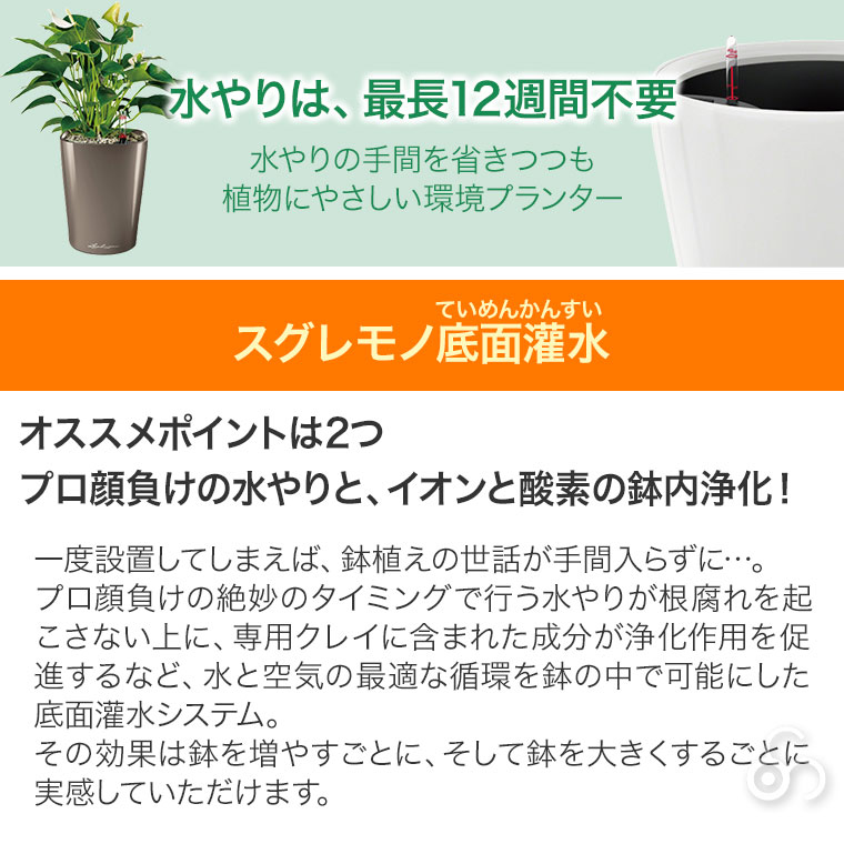 プランター レチューザ トリオ・ストーン30 LE-7630 LECHUZA 底面給水