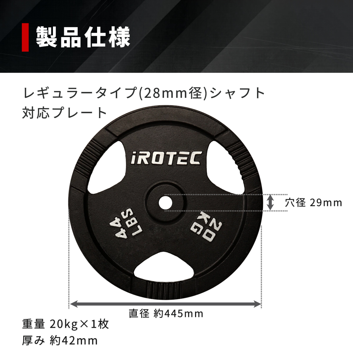 IROTEC（アイロテック） バーベル アイアンプレート 20KG [1枚] 穴径