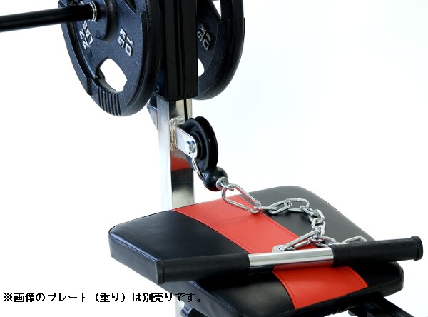 IROTEC（アイロテック） マルチポジションベンチ専用ラットオプション