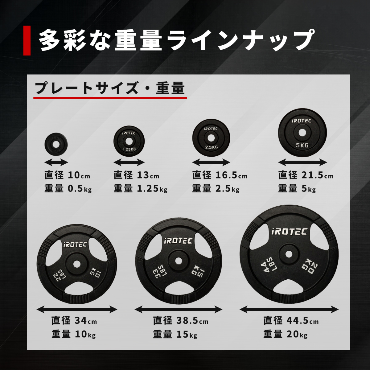 IROTEC（アイロテック） バーベル プレート アイアンプレート10KG [2枚
