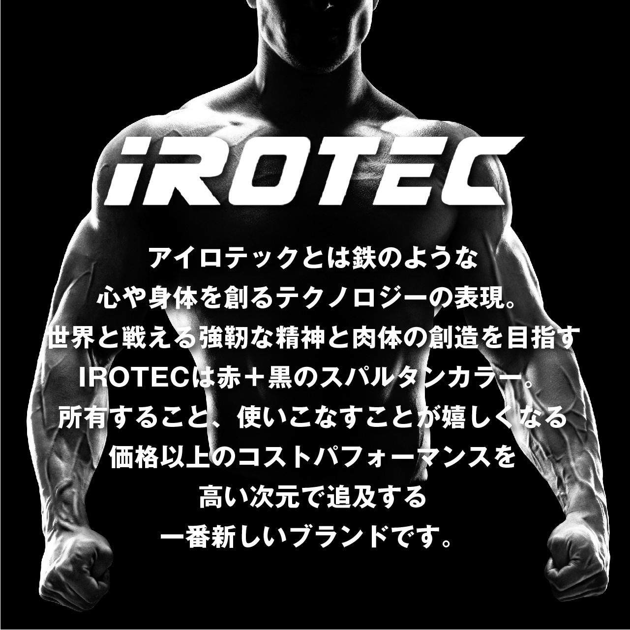 IROTEC（アイロテック） バーベルセット ラバーバーベル ダンベル 50kg