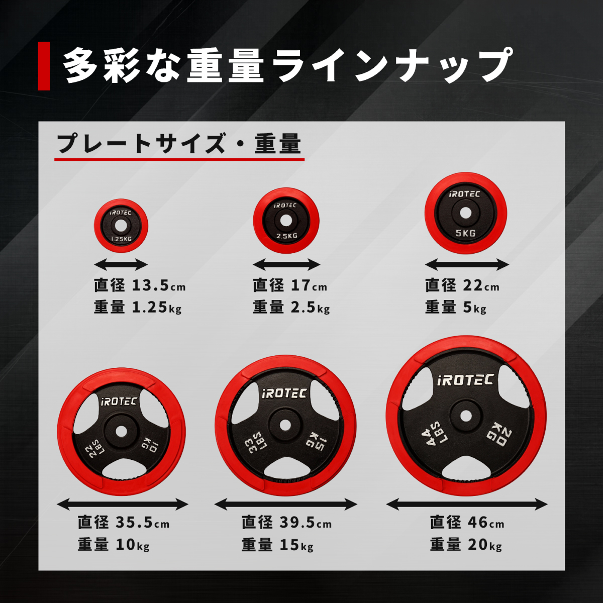 IROTEC（アイロテック） バーベル ラバープレート10KG [2枚] 穴径29mm