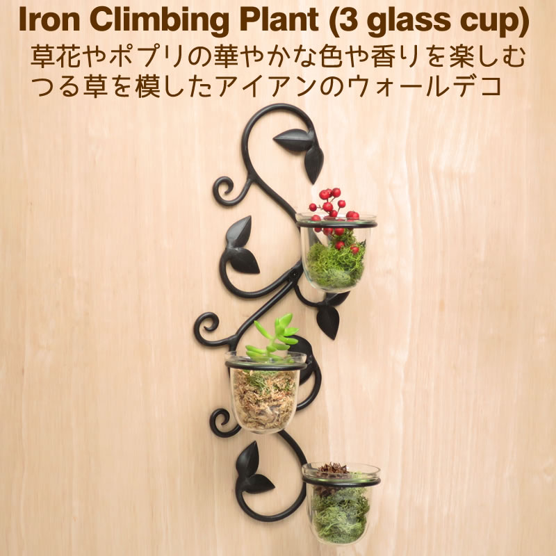 フラワーベース 壁掛け アイアン 花器 花瓶 ウォールデコ 壁飾り つる