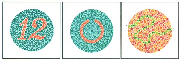 石原式 色覚検査表 II コンサイス版 14表 HP-1205Cの説明 - 通販