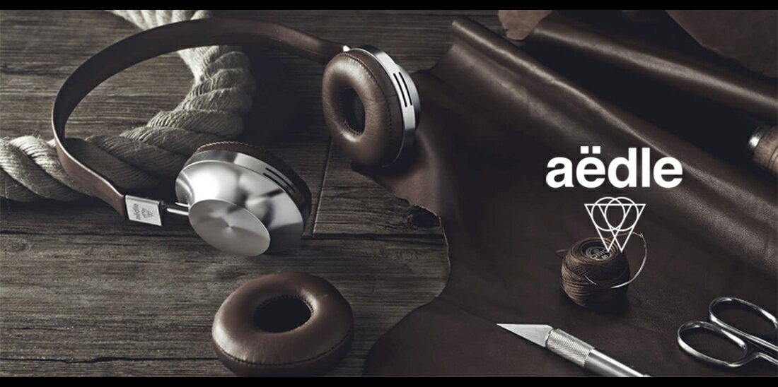Aedle エイデル ODS-1 イヤフォン エイドル イヤーパッド ダイナミック