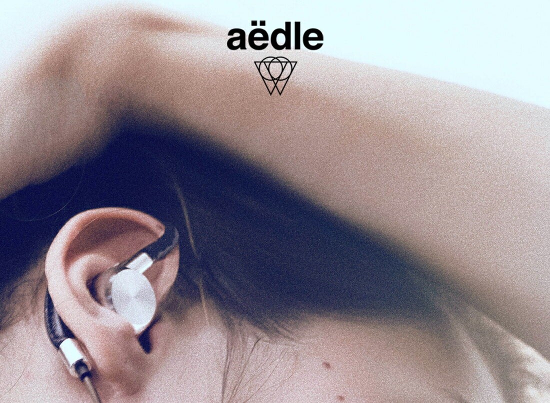 Aedle エイデル ODS-1 イヤフォン エイドル イヤーパッド ダイナミック