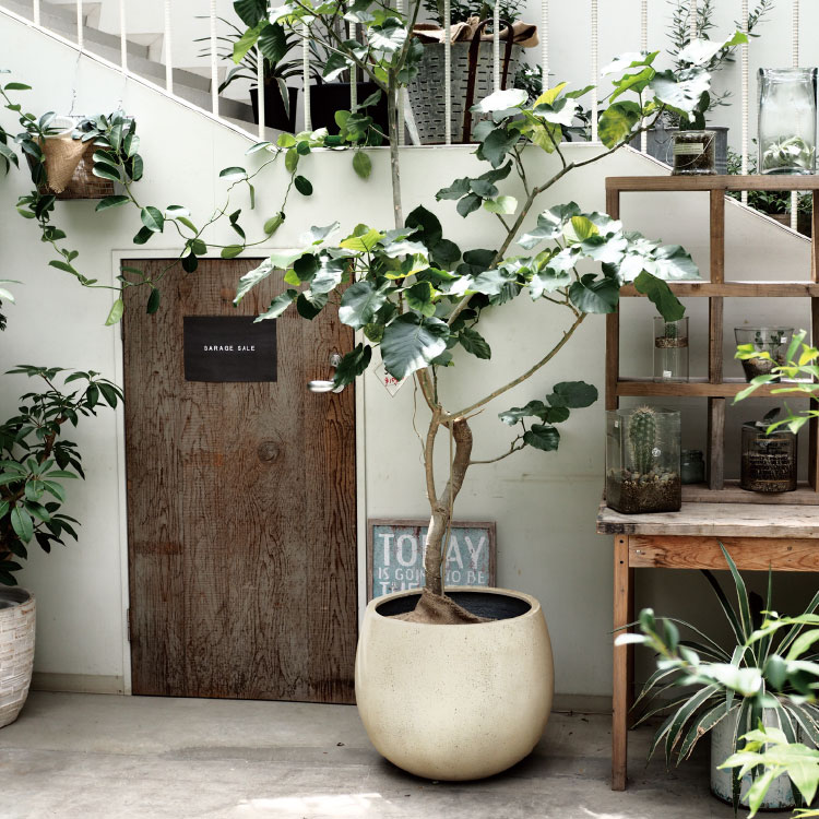 植木鉢 おしゃれ 軽くて丈夫なFRP鉢カバー GP007-420 13号(42cm) 鉢底