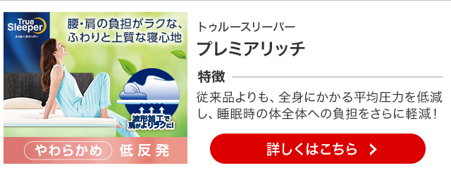 トゥルースリーパー（True Sleeper） プレミアム クイーン 送料無料