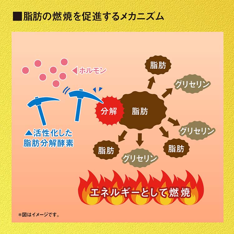 ナイシヘルプ +血圧 約30日分 内臓脂肪と血圧対策に ( 60粒入 )/ 小林