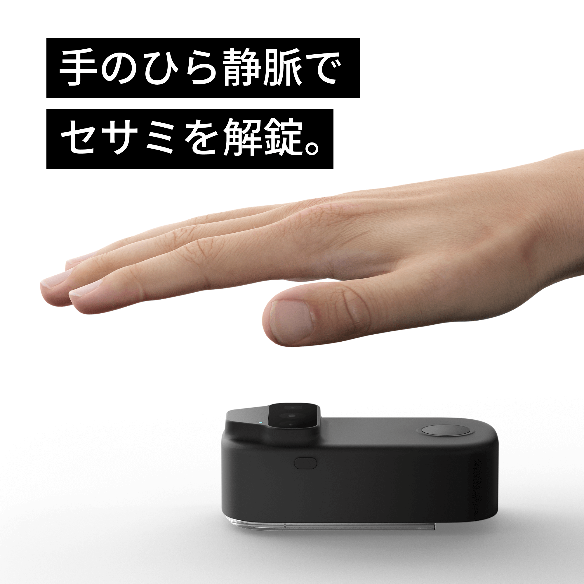 SESAME（CANDY HOUSE） 【公式ストア】SESAME FACE セサミフェイス 顔