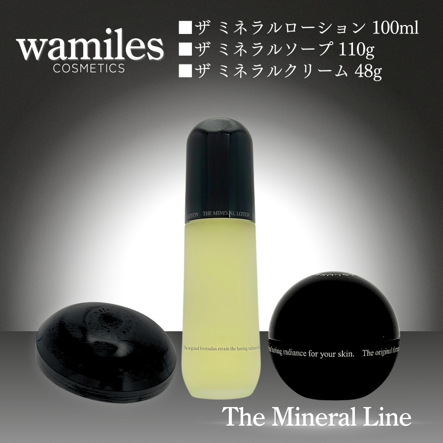 wamiles（ワミレス） イオンヌ ローションε 100ml : セラフィーネット