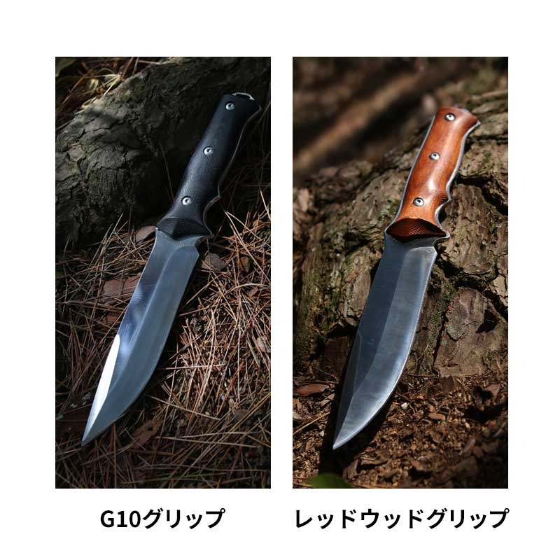 ダイワ カーボウィスカー尖閣 100号484/E641L クエ竿 美品 : 釣king