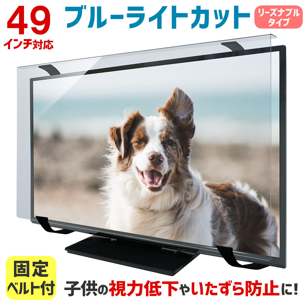 液晶テレビ保護パネル ブルーライトカット 49型 49インチ ベルト付