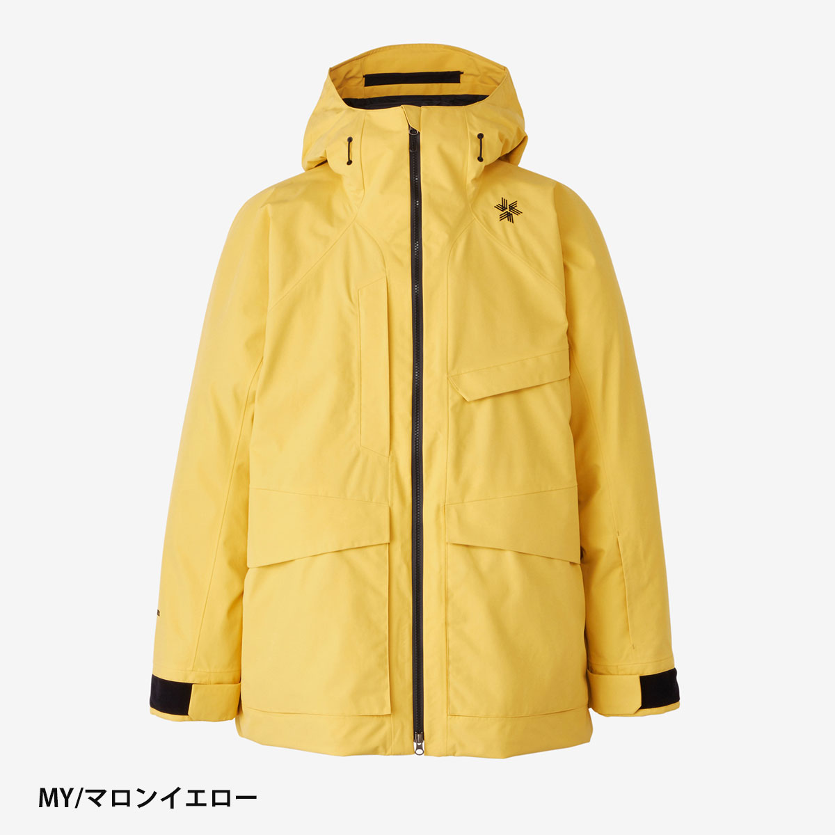 GOLDWIN（ゴールドウイン） スキーウェア メンズ スキージャケット