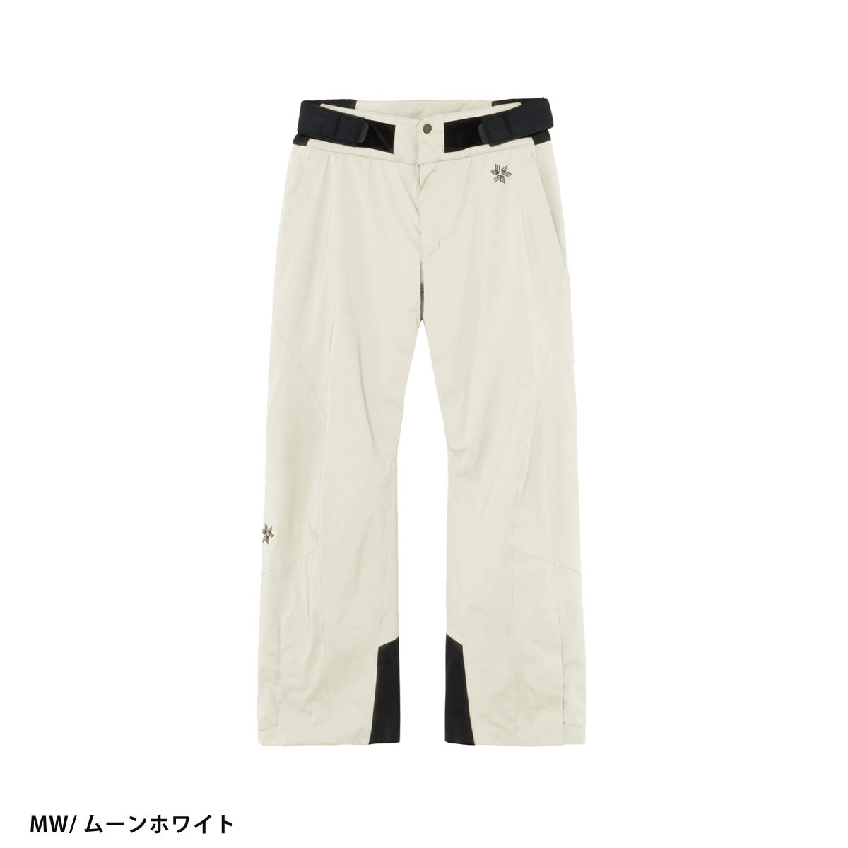 GOLDWIN（ゴールドウイン） スキーウェア スキーパンツ パンツ メンズ