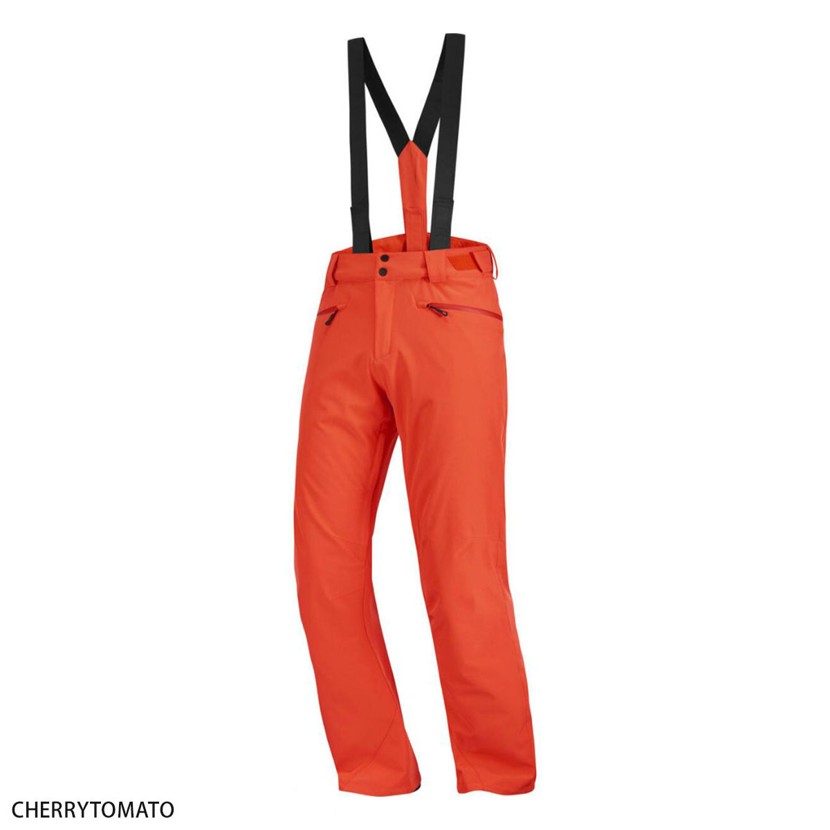 SALOMON（サロモン） スキーウェア スキーパンツ パンツ メンズ 2025