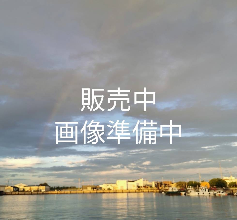 GoGonova LED投光器 5000lm高輝度 USB充電式作業灯/ワークライト 9時間