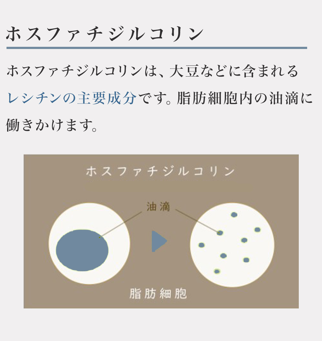 リット 導入美容液 エレクトロポレーション イーポレーション