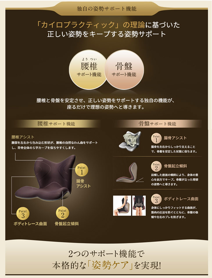 新品未使用】正規品 MTG 骨盤 姿勢ケア Style PREMIUM DX YA-AM03A