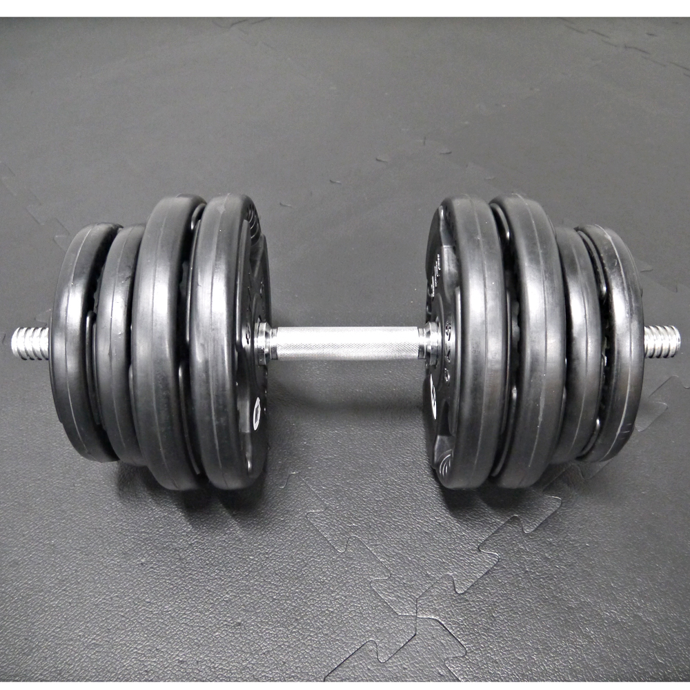 WILD FIT（ワイルドフィット） ダンベルセット 60kg 550mmロング