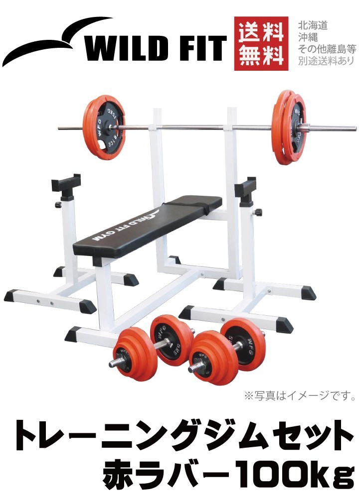 WILD FIT（ワイルドフィット） トレーニングジムセット 赤ラバー 100kg