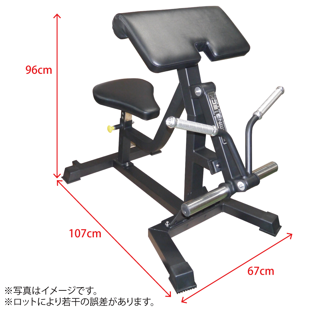 WILD FIT（ワイルドフィット） [即納OK] バイセプスカール [アーム