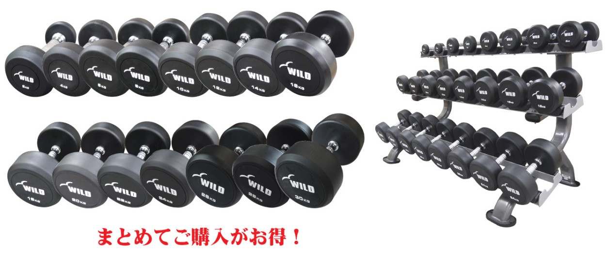 WILD FIT（ワイルドフィット） 固定式 ダンベル WF セット / ダンベル