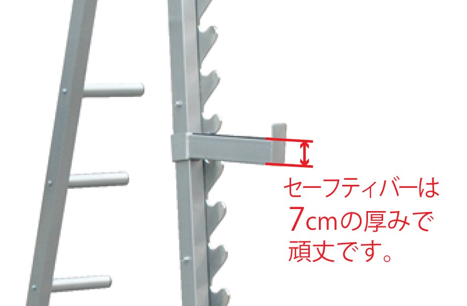 WILD FIT（ワイルドフィット） ハーフケージセット (ベンチ付) [Φ50