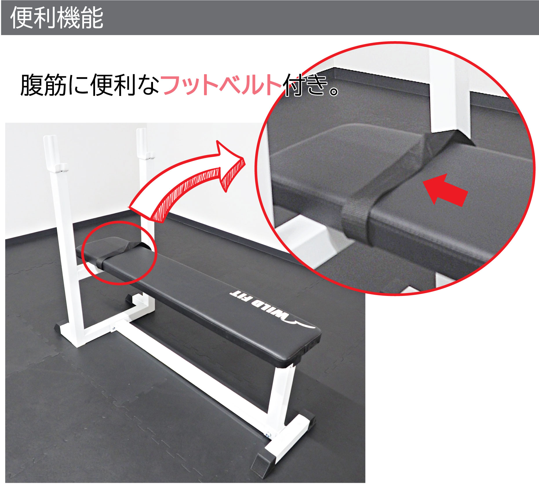 WILD FIT（ワイルドフィット） トレーニングベンチ 筋トレ ベンチ